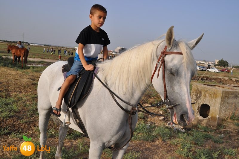 kheil sebaq (28).JPG